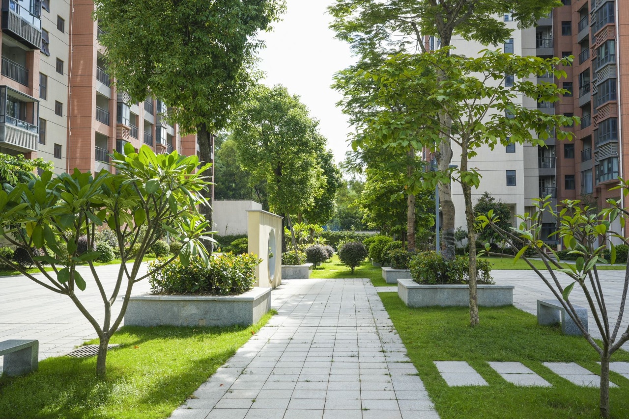 龙华八栋统建楼84-140平地铁4号线地铁口300米双层地下停场