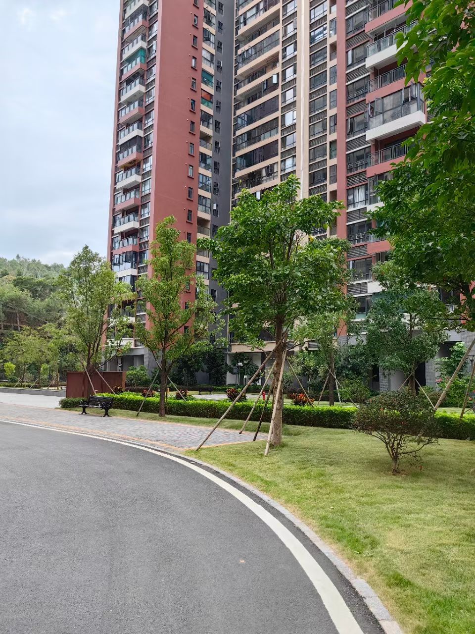 龙岗统建楼可落深户，可积分入学202-215㎡墅级顶复总价340万起