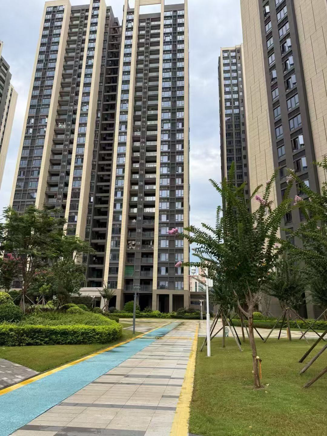 光明合水口10栋住宅花园统建楼自带幼儿园地下车库均价1.55万