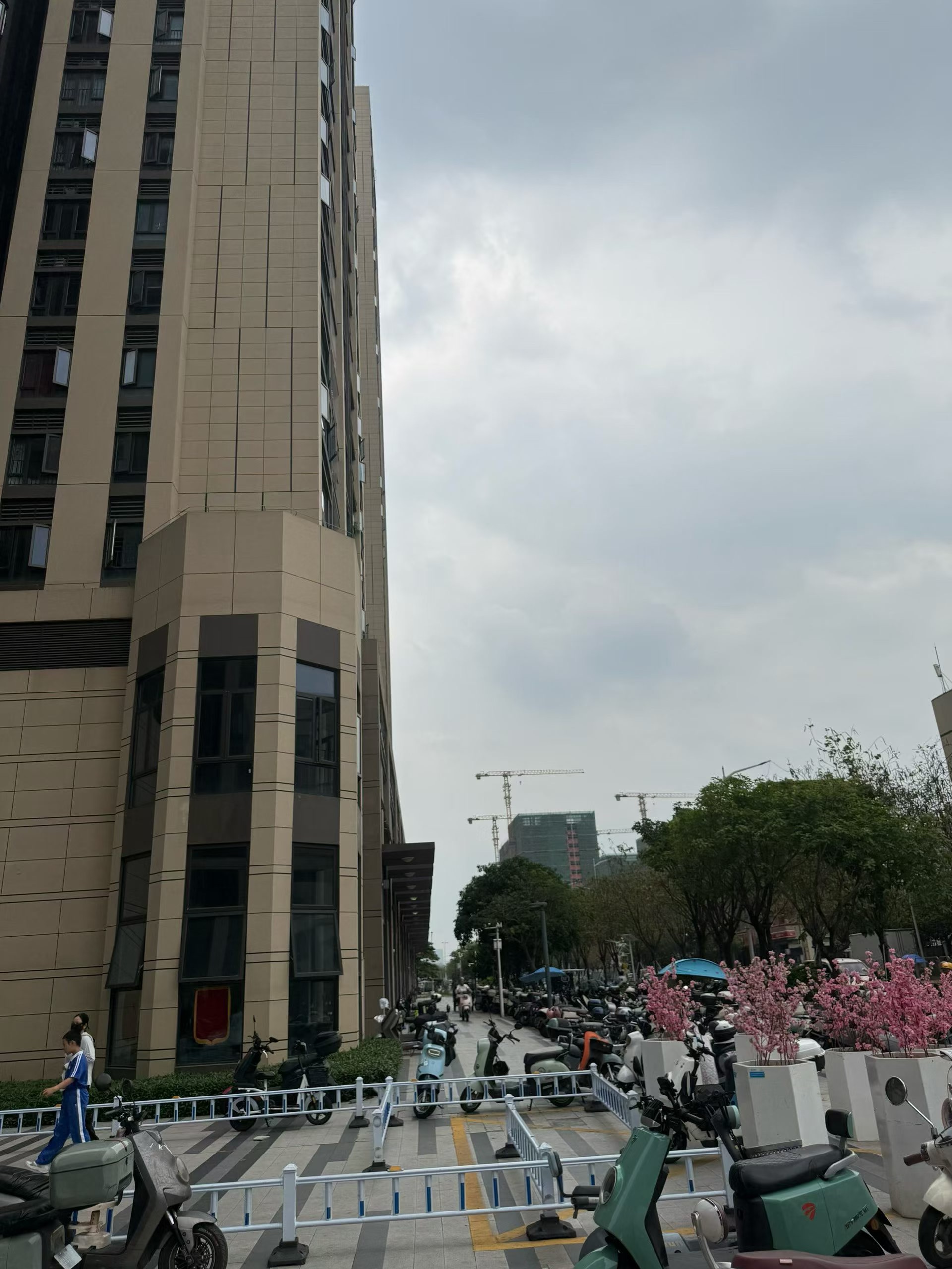 光明合水口10栋住宅花园统建楼自带幼儿园地下车库均价1.55万
