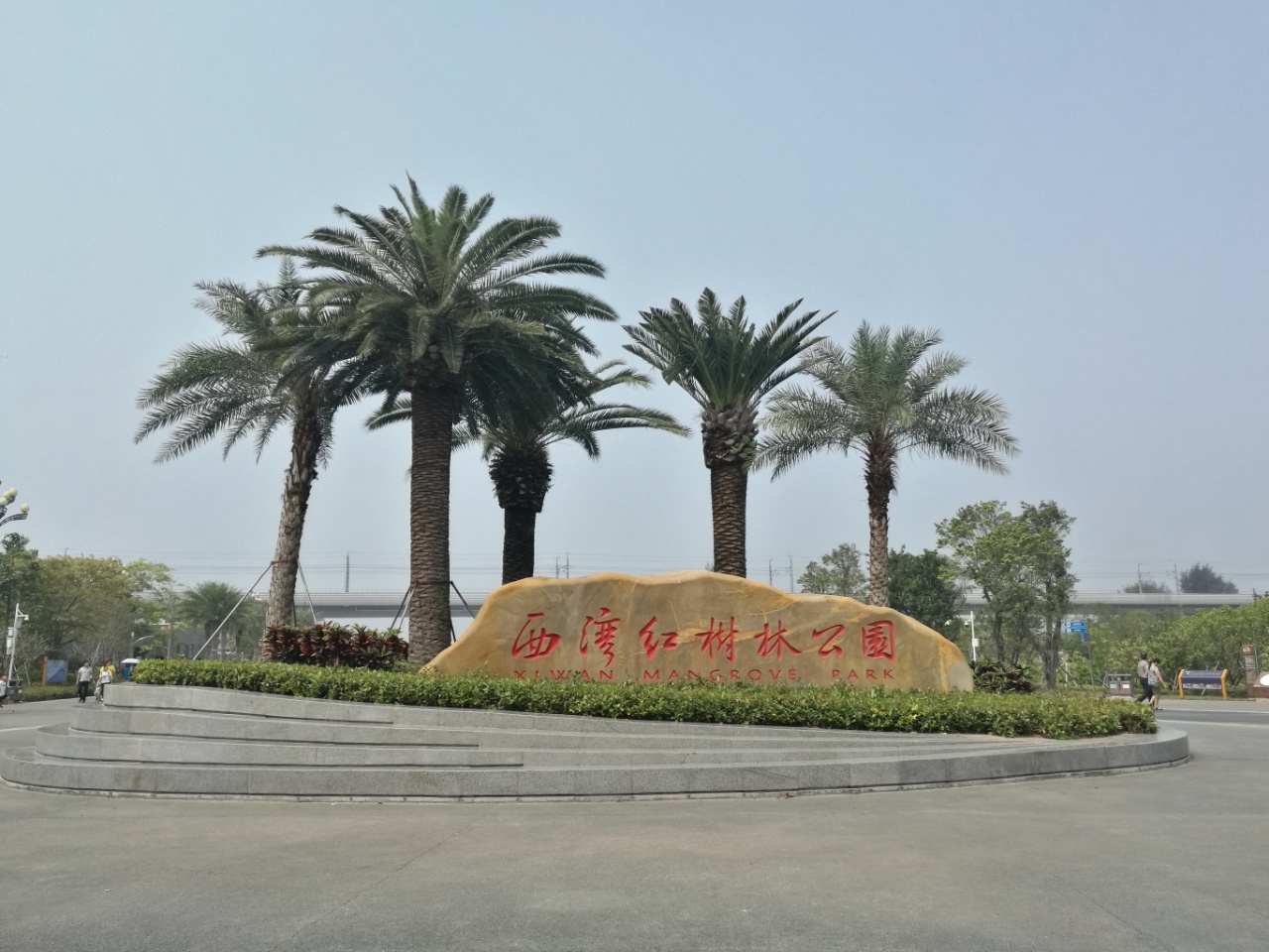 推窗见海,西湾红树林,精装现楼,落户资格+公立教育5年分期