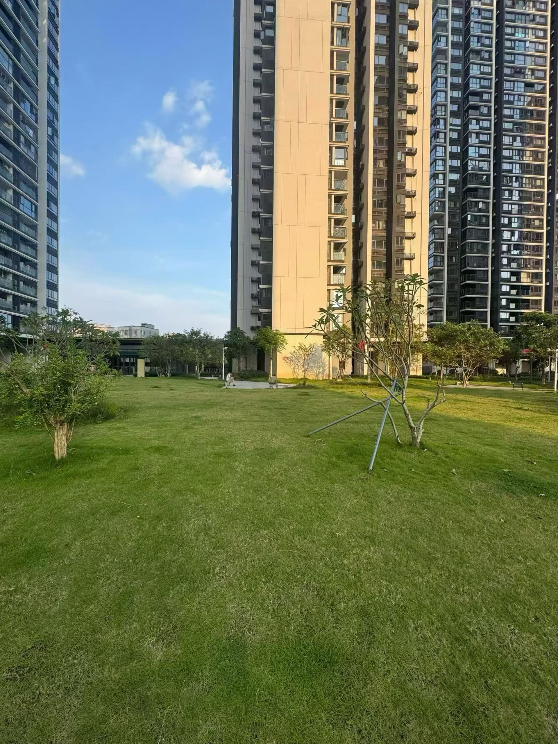龙岗中心8栋花园70年小区两房65万三房88万地库车位超足陪游泳池幼儿园