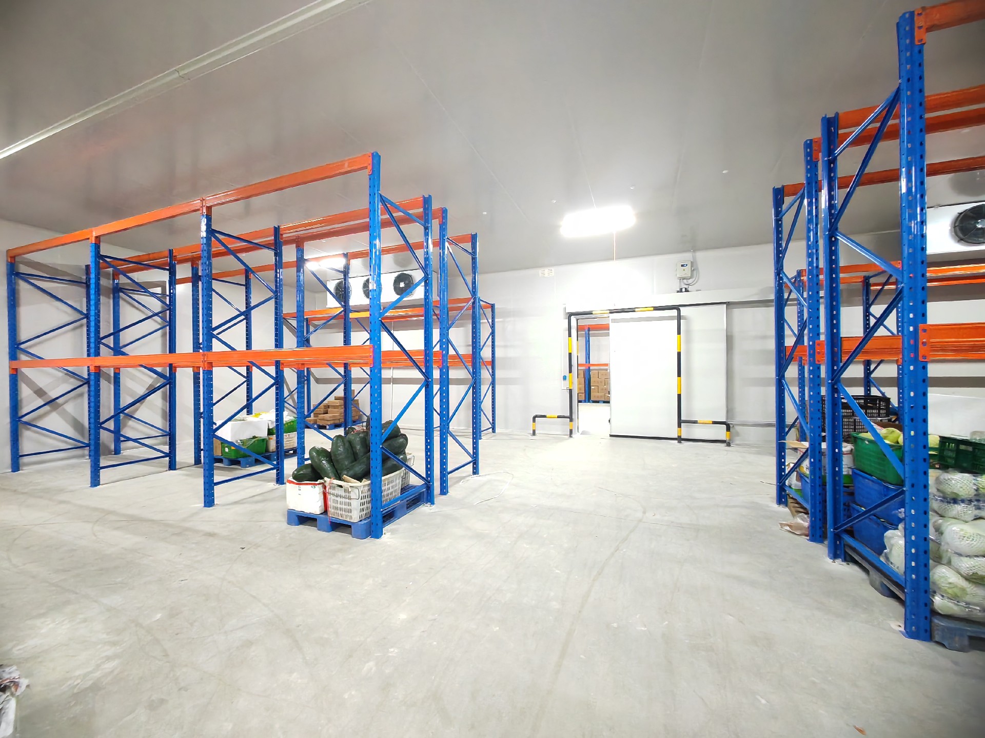 Case of Philippine Fresh Cold Chain Enterprises Using Horizontal Beam Cold Storage Racks