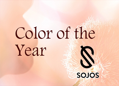 sojos vision