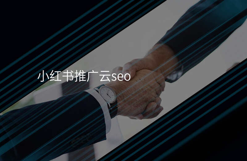 小红书推广云seo