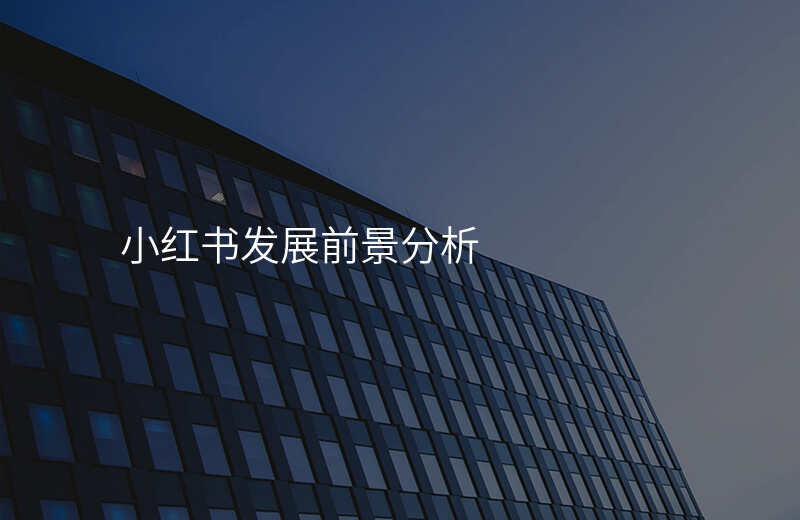 小红书发展前景分析