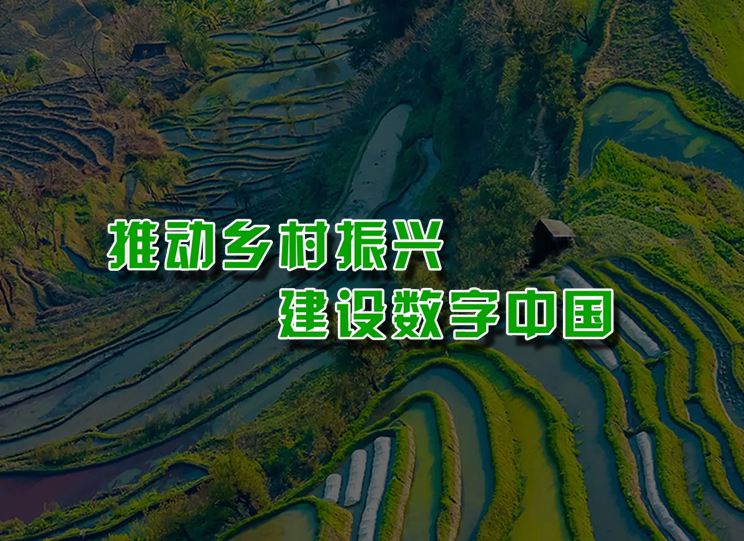 中科南沣