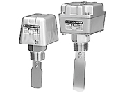 Flow switch/paddle type IF3