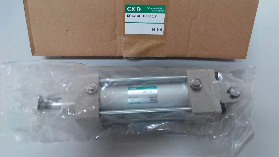 Medium-sized cylinder SCA2-00-63B-100-Y