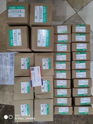 Two-position five-way solenoid valve 4F310-08-BN-AC220V