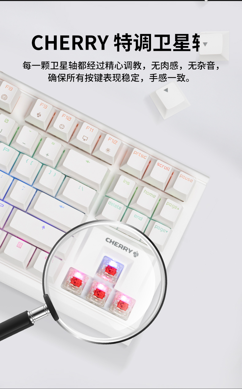 CHERRY MX1.1 TKL RGB-CHERRY樱桃