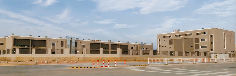 中国 福建省晋江：実用規模蓄電システム