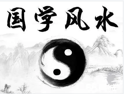 领导办公桌适合放什么高档盆栽