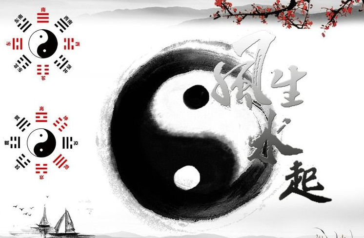 琴叶榕放家里客厅好吗