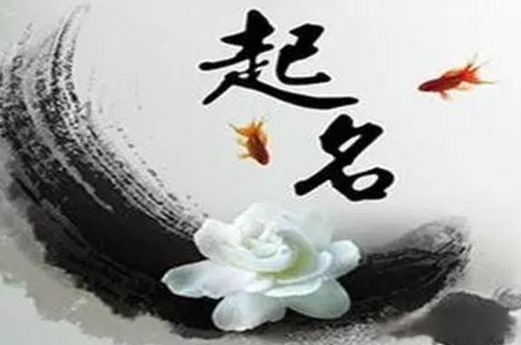 周易公司起名软件