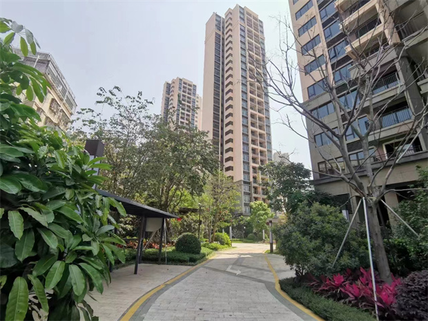 坂田全新一手统建楼新盘，三栋花园小区，地下停车场