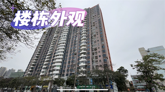 坂田一手村委统建楼新盘，总高28层、居家原始大户型