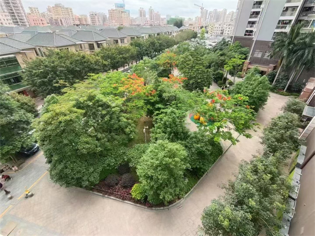 沙井三栋村委统建楼小区笋盘，12号线沙蚝站0距离，单价11800/㎡