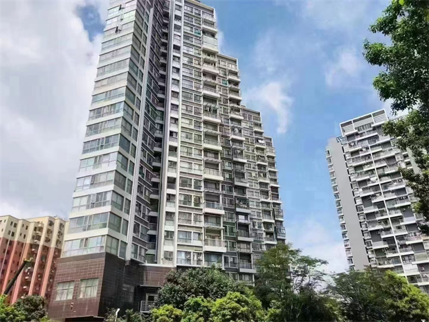 沙井三栋村委统建楼小区笋盘，12号线沙蚝站0距离，单价11800/㎡