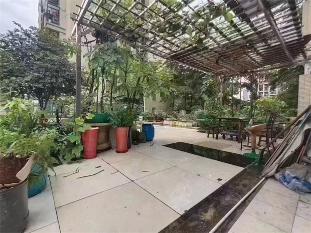 沙井三栋村委统建楼小区笋盘，12号线沙蚝站0距离，单价11800/㎡