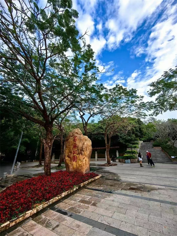 南山区