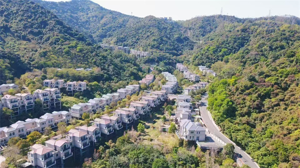 布吉小产权房豪宅别墅小区，总价680万/栋起