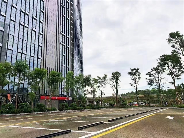 龙华清湖5栋统建楼新盘，可落户、精装修交付