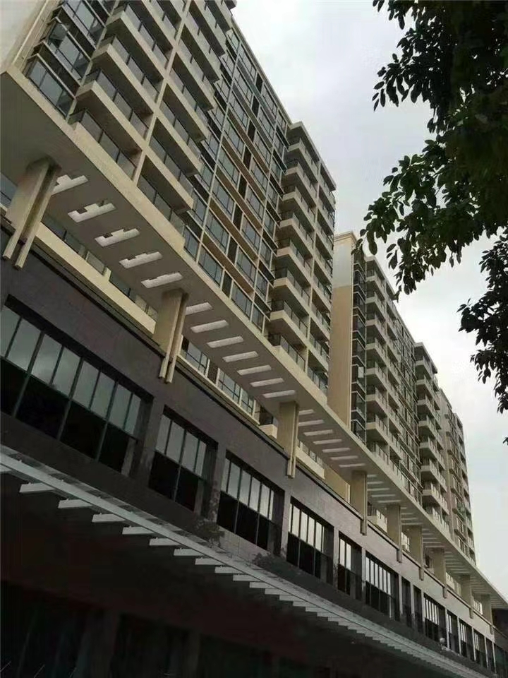 福永22栋村委统建楼大盘，临近11号线地铁口物业