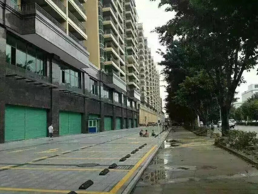 福永22栋村委统建楼大盘，临近11号线地铁口物业