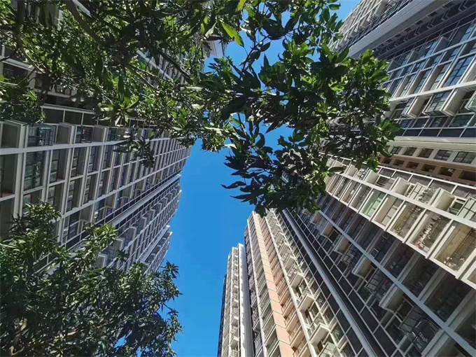 沙井6栋1500户大型村委统建楼，毗邻海岸城商业中心