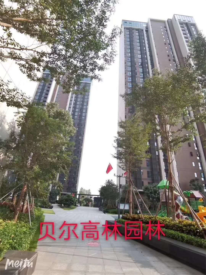 精装三房63.8万/套，龙华9栋豪华桶建小区