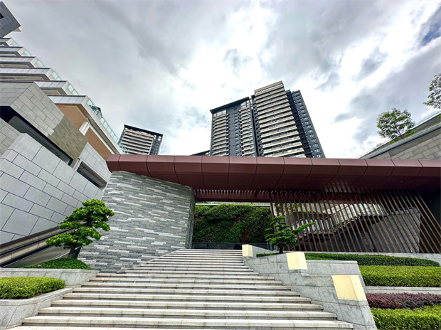 龙华区真正豪宅统建楼新盘，5栋800户大型花园小区