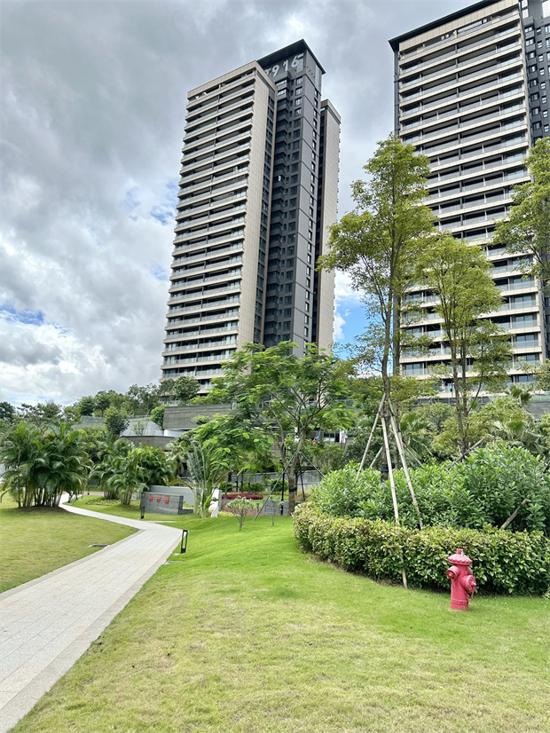 龙华区真正豪宅统建楼新盘，5栋800户大型花园小区