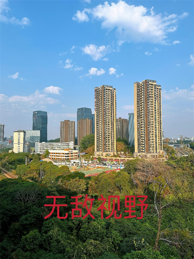 坂田荔园新村小产权房笋盘，两房总价51.8万/套