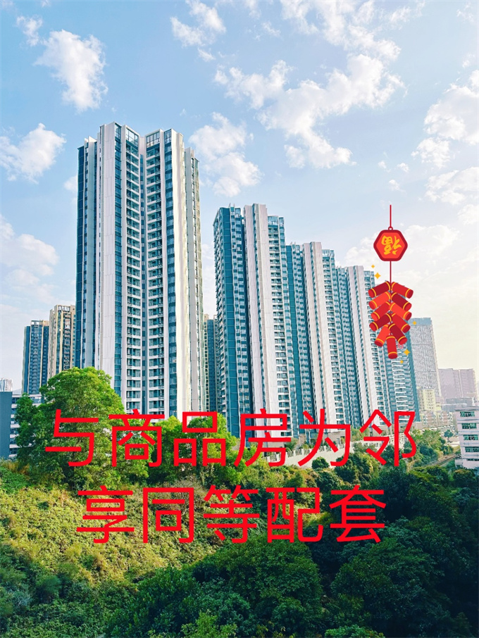 坂田荔园新村小产权房笋盘，两房总价51.8万/套