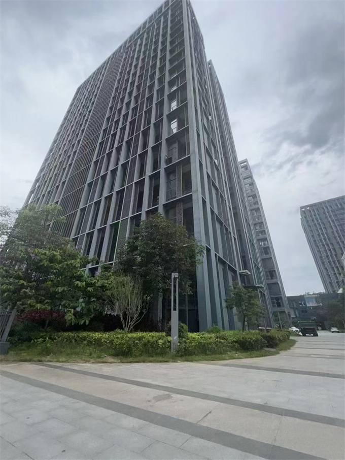 横岗10栋大型统建楼一手新盘，16号线地铁口物业