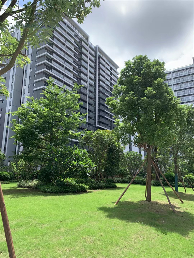 临深16栋2500户大型统建楼社区，单价5980元/㎡起精装修交付