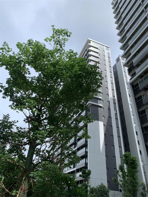 临深16栋2500户大型统建楼社区，单价5980元/㎡起精装修交付