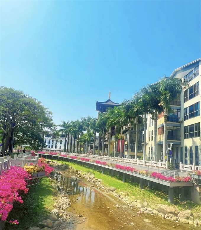 罗湖梧桐山小产权房新盘；一房52.8万/两房59.8万，精装修/通燃气/天然氧吧