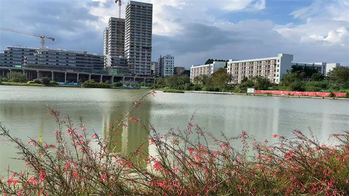 龙岗湿地公园旁小产权房；两房总26.8万/套起，可落户，环境一级棒