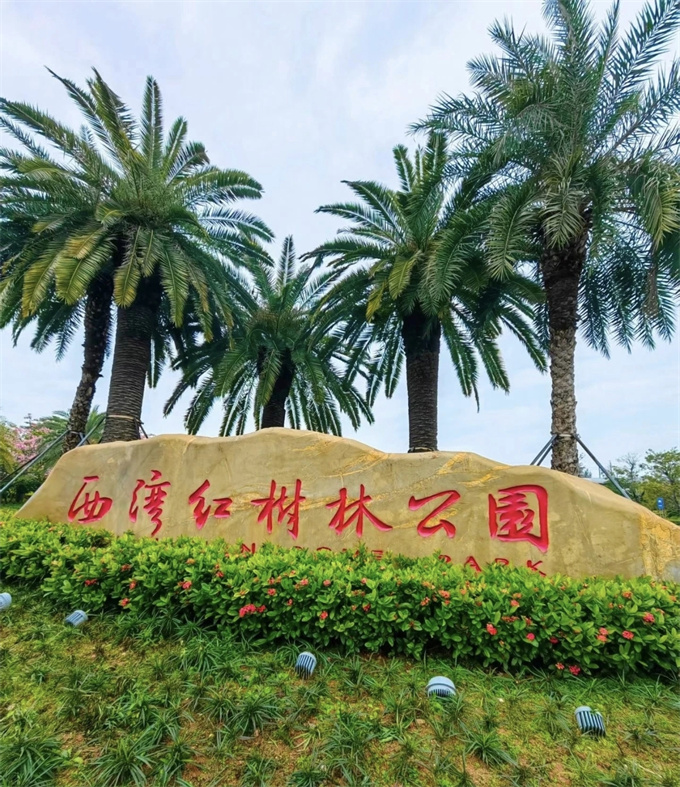 西乡花园统建楼小区新盘；两层停车场，11号线碧海湾地铁口
