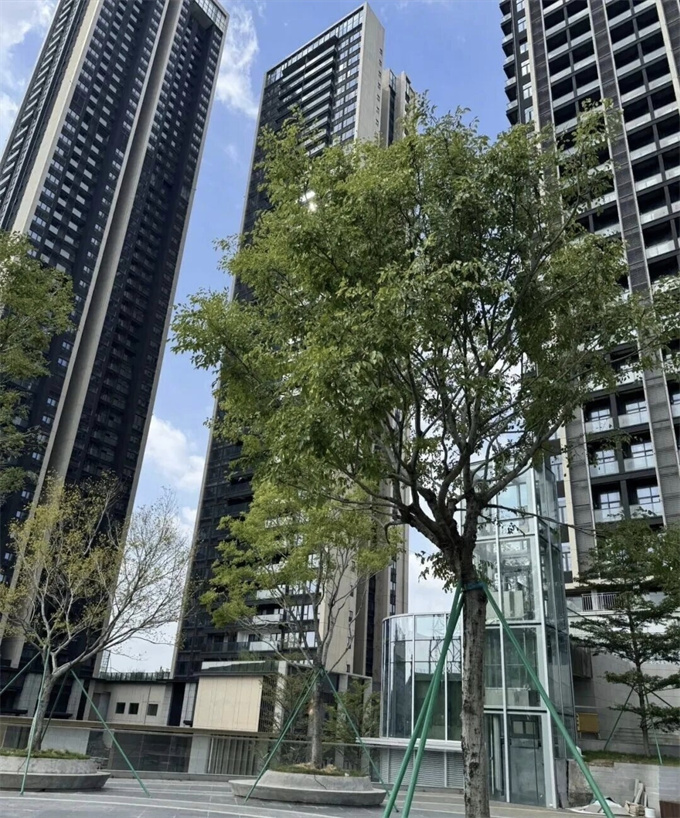 松岗豪华统建楼小区；特惠12980/平，两房首付15万起，通天然气/户户带阳台