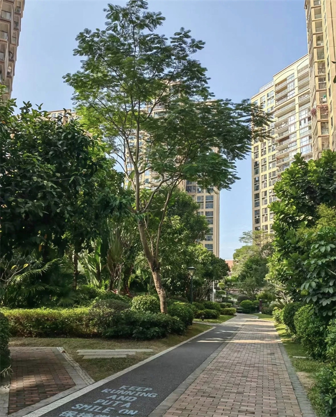 西乡12栋村委统建楼；毗美商品房，12号线地铁口物业