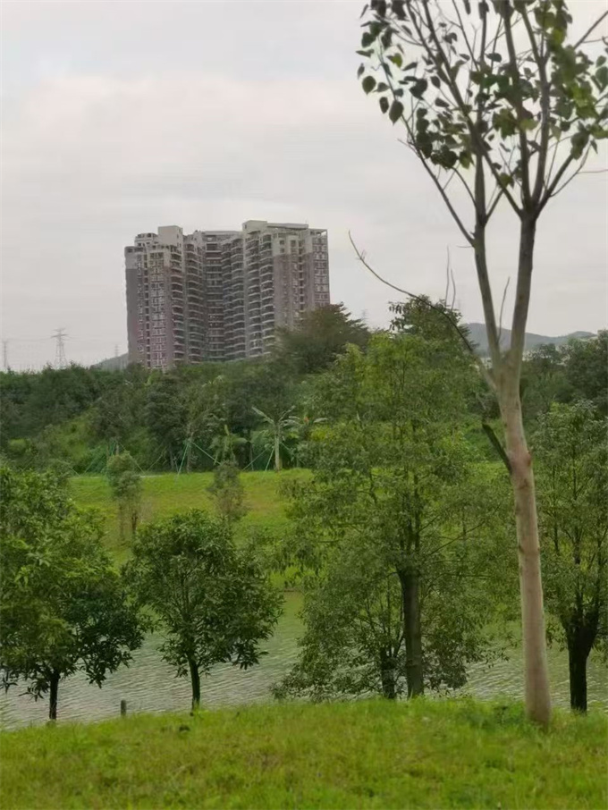 石岩三栋统建楼/均价8800/㎡ 原始户型 使用率高 可落户