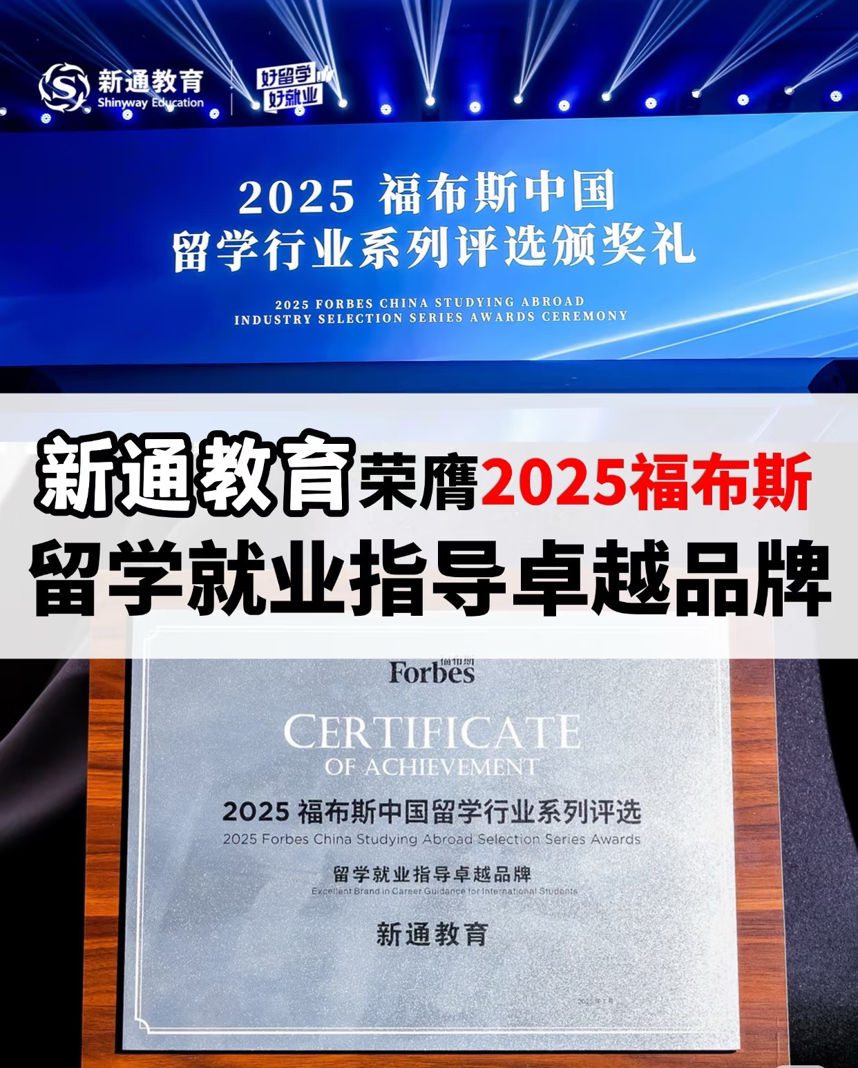 新通教育：如何助力留学生实现学术与职业的双重突破？
