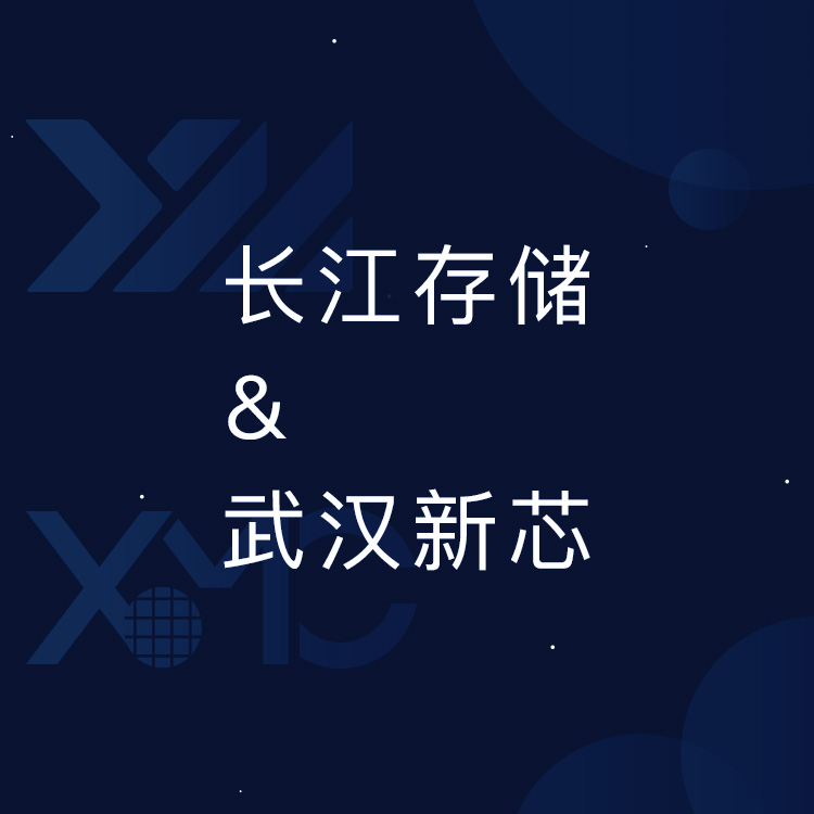 长江存储、武汉新芯网站建设