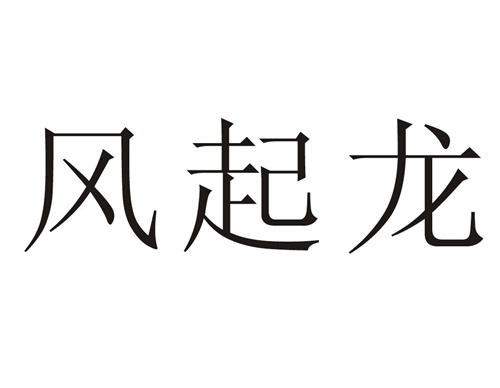 风起龙