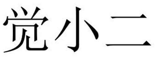 觉小二