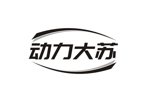 动力大苏