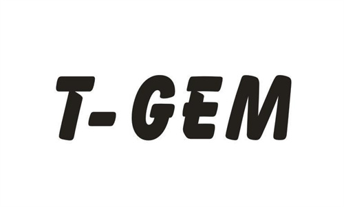 T-GEM